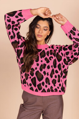 8527AZALEAWEBSHOP2.jpg